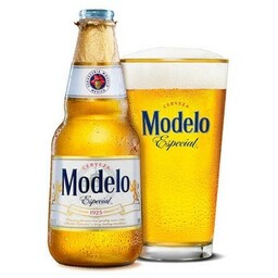 ESPECIAL MODELO